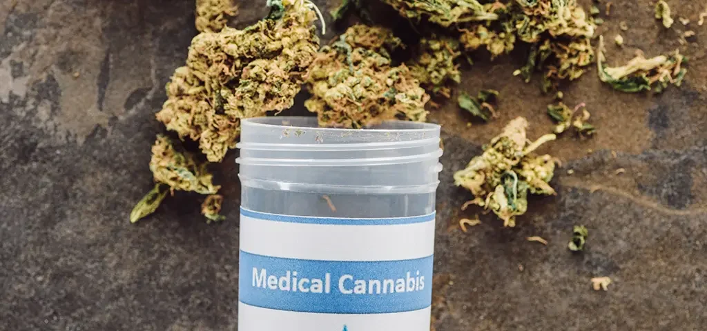 Cannabis for Chronic Pain Relief