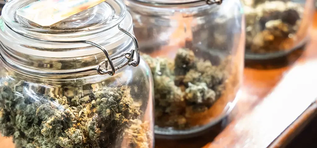 Medical Marijuana Card Email Delivery