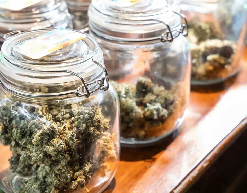 Medical Marijuana Card Email Delivery