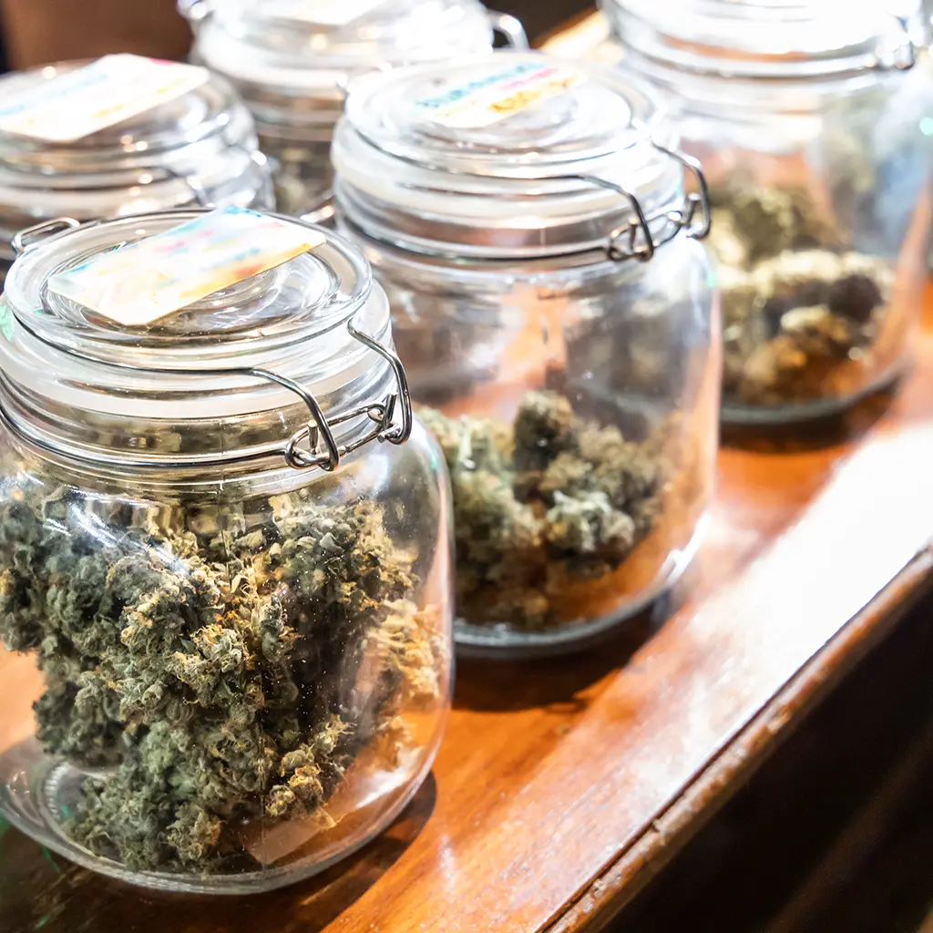 Medical Marijuana Card Email Delivery