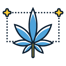 Indica