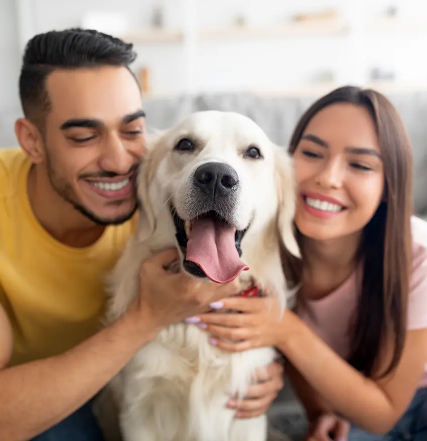Service animal registration with Affordable Medical Card