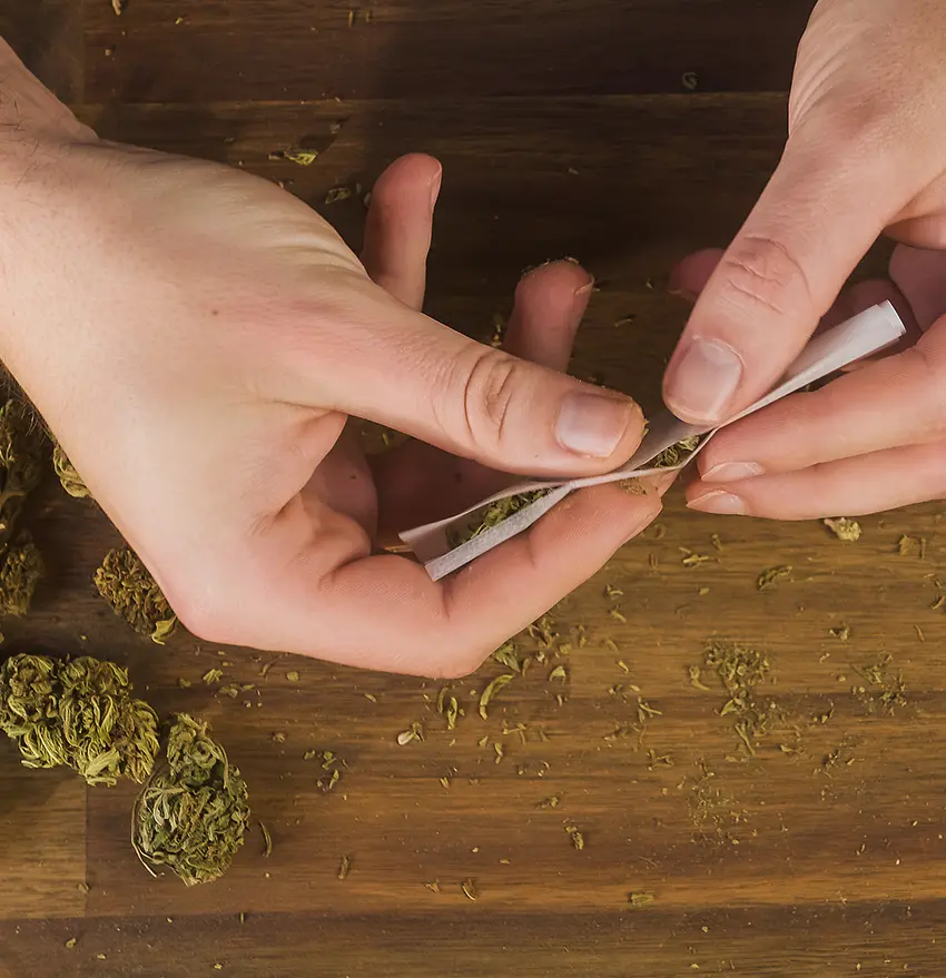 Telehealth cannabis consultation